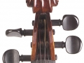 Matteo Goffriller Cello Srcoll Front